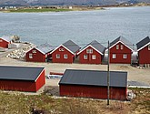 DSC_8749.JPG