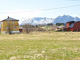 DSC_8774.JPG