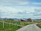 DSC_8781.JPG