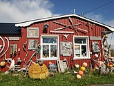 DSC_8784.JPG