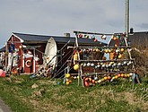 DSC_8785.JPG