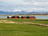 DSC_8786.JPG