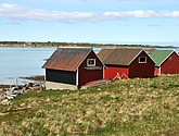 DSC_8788.JPG