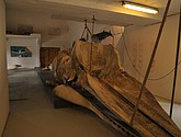 DSC_8870.JPG