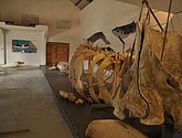 DSC_8871.JPG