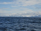 DSC_8879.JPG