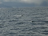 DSC_8882.JPG