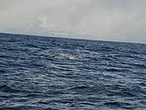 DSC_8887.JPG