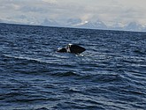DSC_8896.JPG
