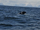 DSC_8900.JPG