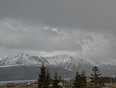 DSC_8909.JPG