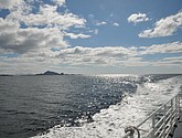 DSC_8936.JPG