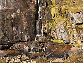 DSC_8959.JPG