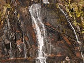 DSC_8960.JPG