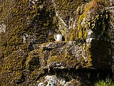 DSC_8963.JPG