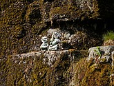 DSC_8964.JPG