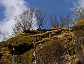 DSC_8967.JPG