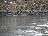 DSC_8974.JPG