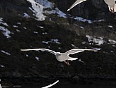DSC_8983.JPG