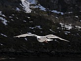 DSC_8984.JPG