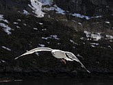 DSC_8985.JPG