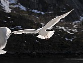 DSC_8989.JPG