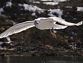 DSC_8998.JPG