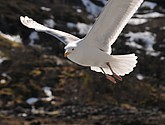 DSC_8999.JPG