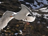 DSC_9000.JPG