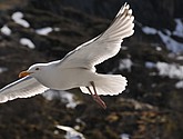 DSC_9001.JPG