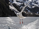 DSC_9028.JPG