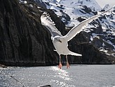 DSC_9029.JPG