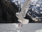 DSC_9030.JPG