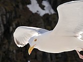 DSC_9035.JPG