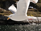 DSC_9038.JPG