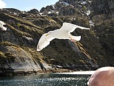 DSC_9039.JPG