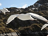 DSC_9043.JPG