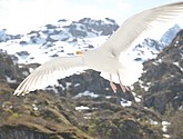 DSC_9047.JPG