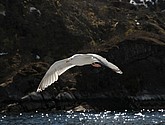 DSC_9048.JPG