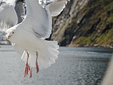 DSC_9049.JPG