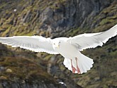 DSC_9050.JPG
