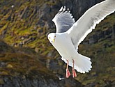 DSC_9051.JPG