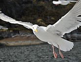 DSC_9056.JPG