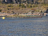 DSC_9058.JPG