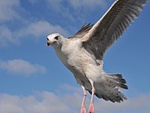 DSC_9062.JPG