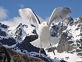 DSC_9068.JPG