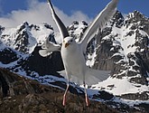 DSC_9069.JPG