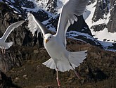DSC_9070.JPG
