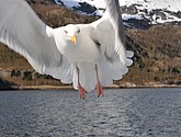DSC_9072.JPG