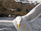 DSC_9073.JPG